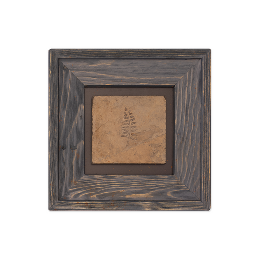 Reclaimed Frame with Stone Fern Imprint