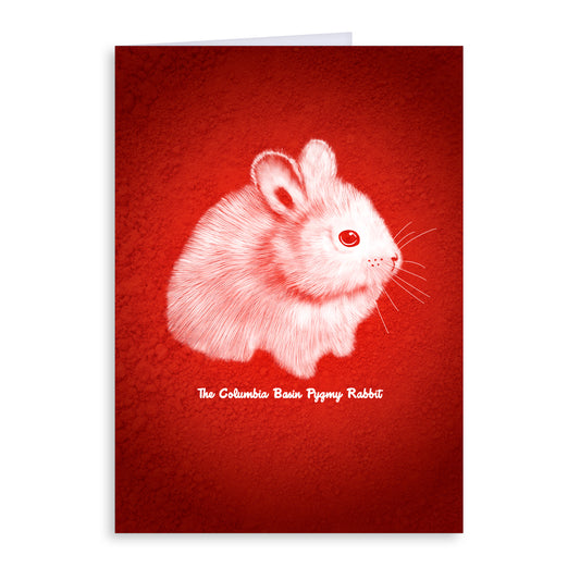 Pygmy Rabbit Greeting Card